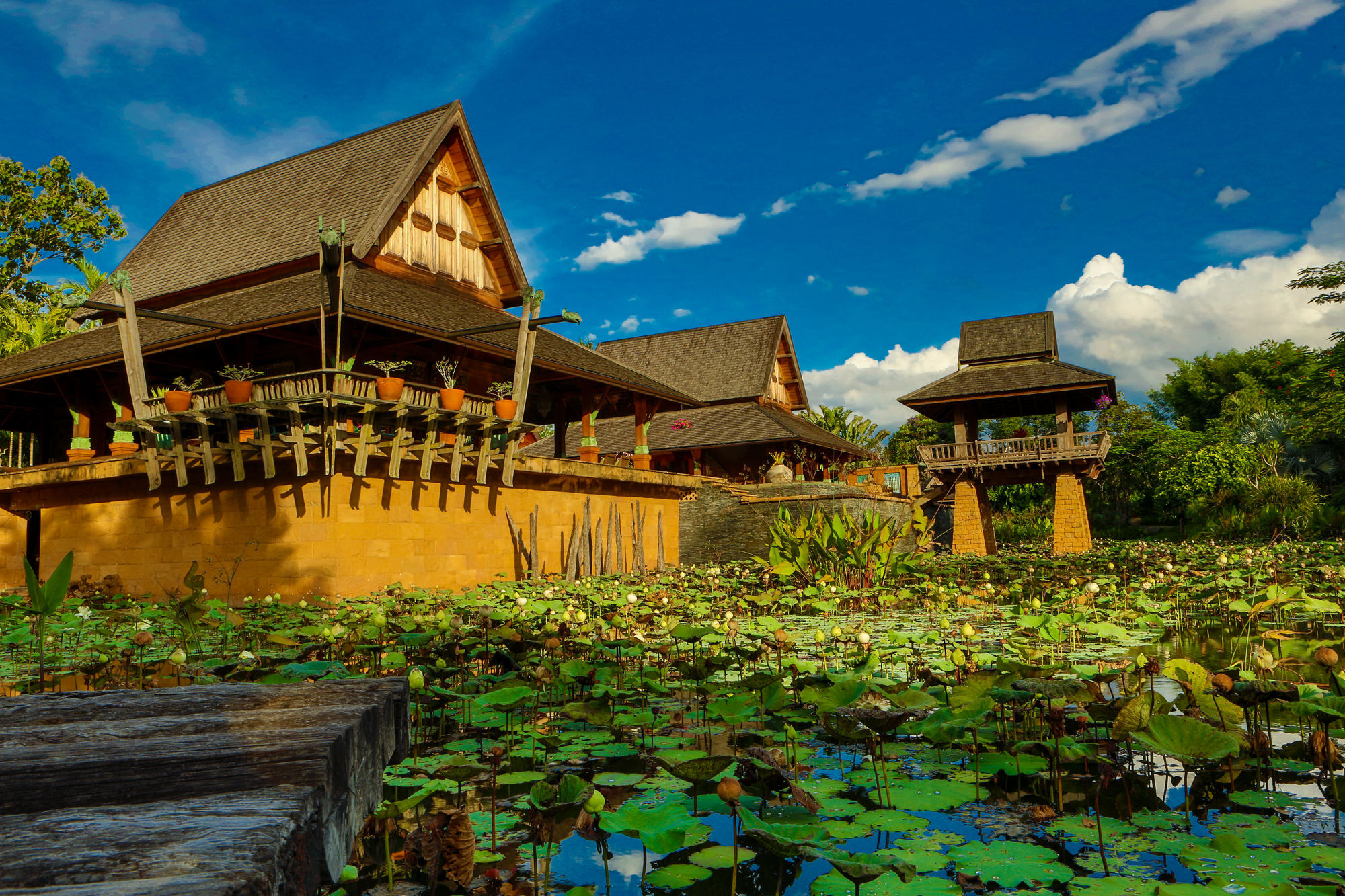 Howie'S Homestay Mae Rim Buitenkant foto