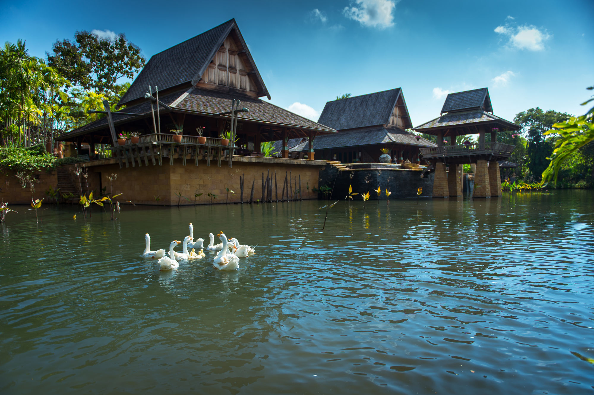 Howie'S Homestay Mae Rim Buitenkant foto